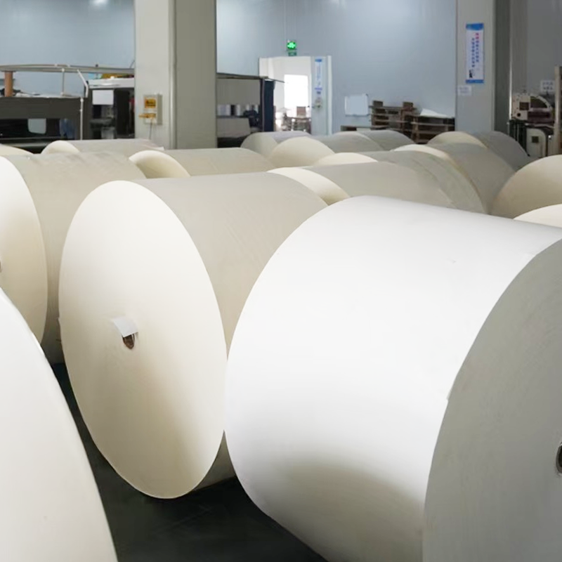 Kompostabilne bez plastikowych powlekanych kubków dolny papier